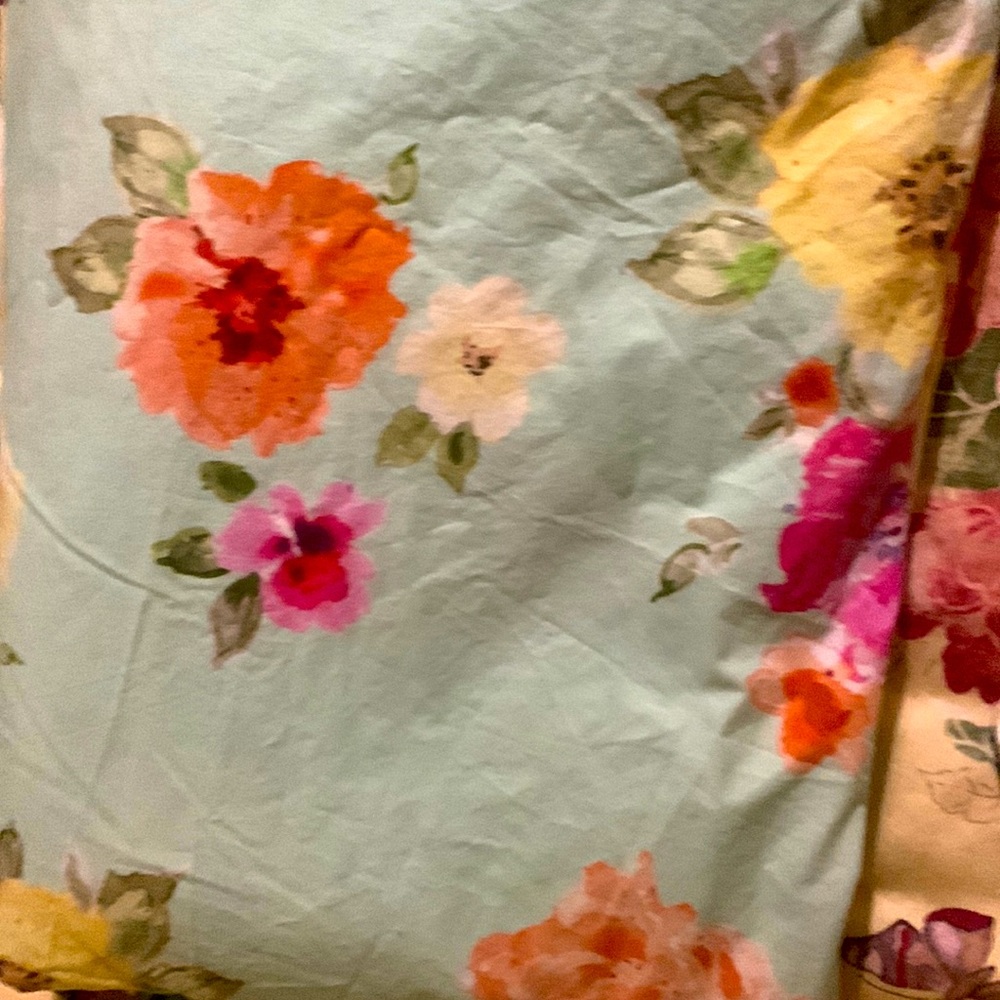 Pottery barn teen duvet cover & pillow shams